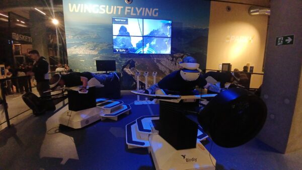 Wingsuit Flying